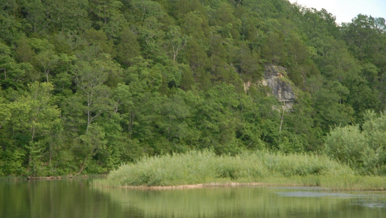 Bald eagles and bluffs on the Current River