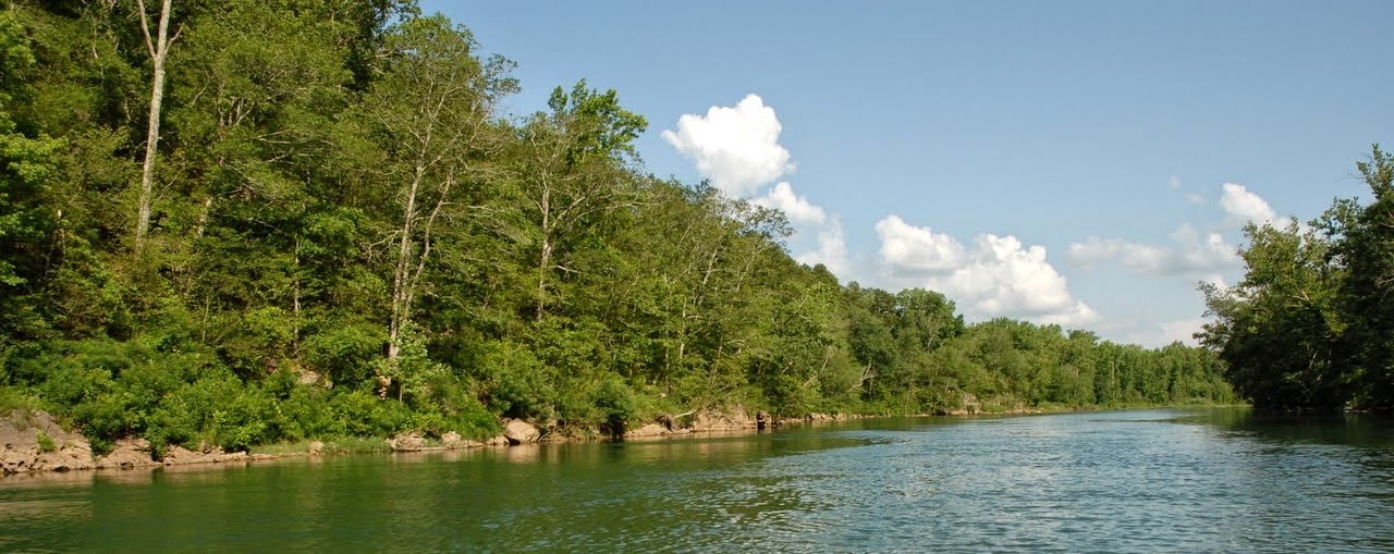 Mark Twain forest boundary: private hunting land overlooking federal national forest zone